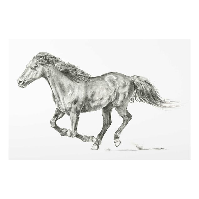 Obrazy na szkle zwierzęta Badanie dzikich koni - klacz