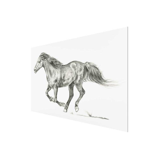 Obrazy nowoczesne Badanie dzikich koni - klacz