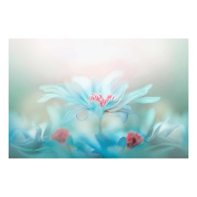 Obraz turkusowy Delikatne kwiaty w pastelach