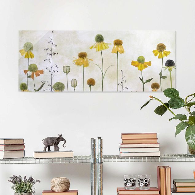 Obrazy na szkle panorama Czułe kwiaty Helenium
