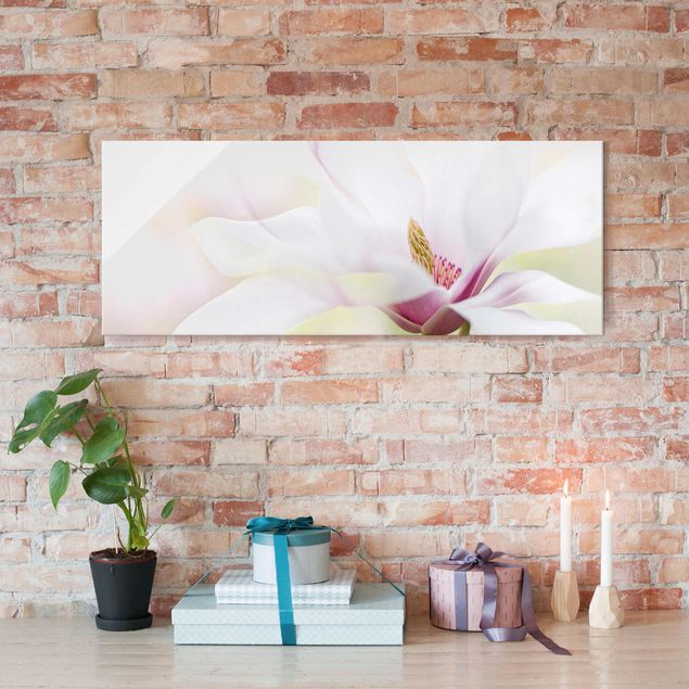 Obrazy na szkle panorama Czuły kwiat magnolii
