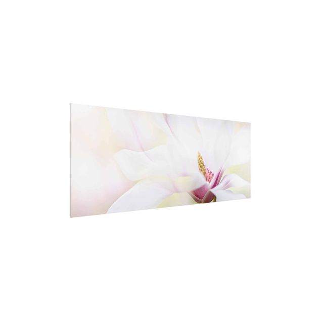 Obrazy nowoczesne Czuły kwiat magnolii