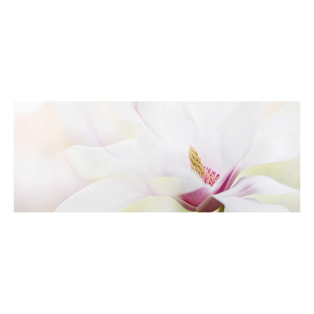 Obrazy kwiatowe Czuły kwiat magnolii