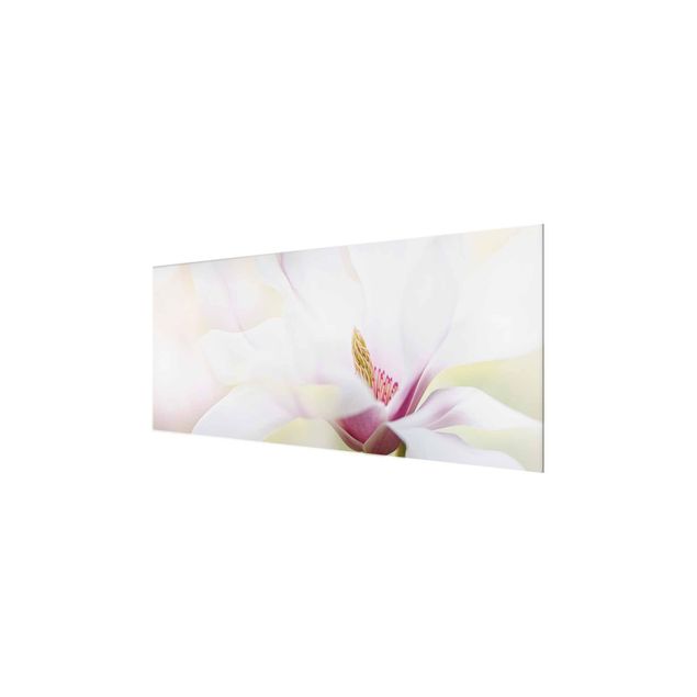 Obrazy na ścianę Czuły kwiat magnolii