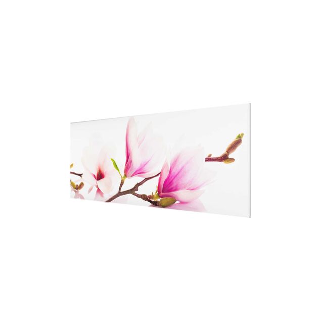 Obrazy kwiatowe Gałązka magnolii delikatnej