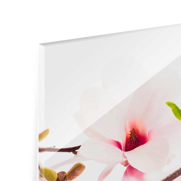 Obrazy na ścianę Gałązka magnolii delikatnej