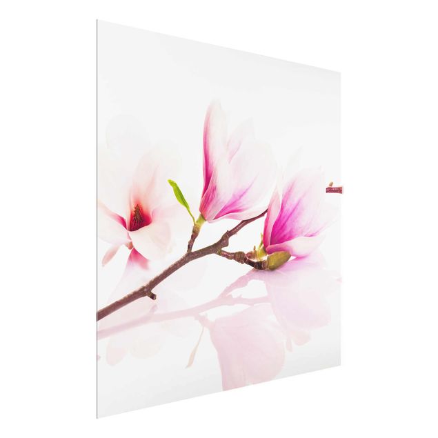 Obrazy nowoczesne Gałązka magnolii delikatnej