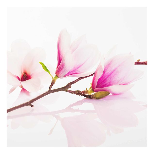 Obraz różowy Gałązka magnolii delikatnej