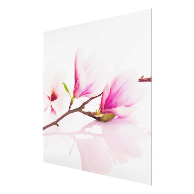 Obrazy kwiatowe Gałązka magnolii delikatnej
