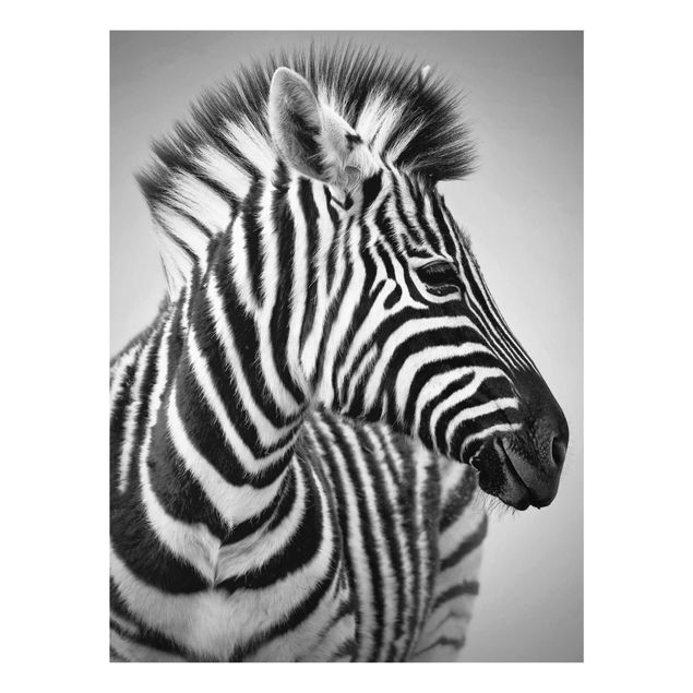Obrazy na szkle zwierzęta Portret dziecka-zebry II