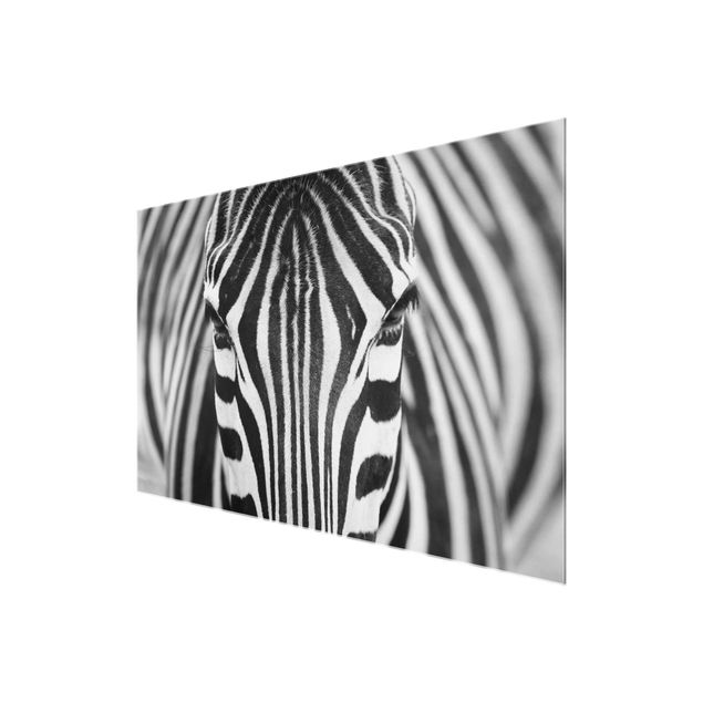 Obrazy nowoczesne Zebra Look