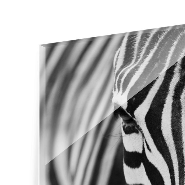 Obrazy zwierzęta Zebra Look