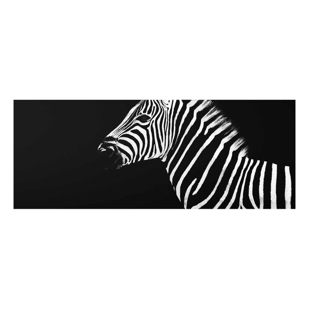 Obrazy na szkle zwierzęta Zebra Safari Art