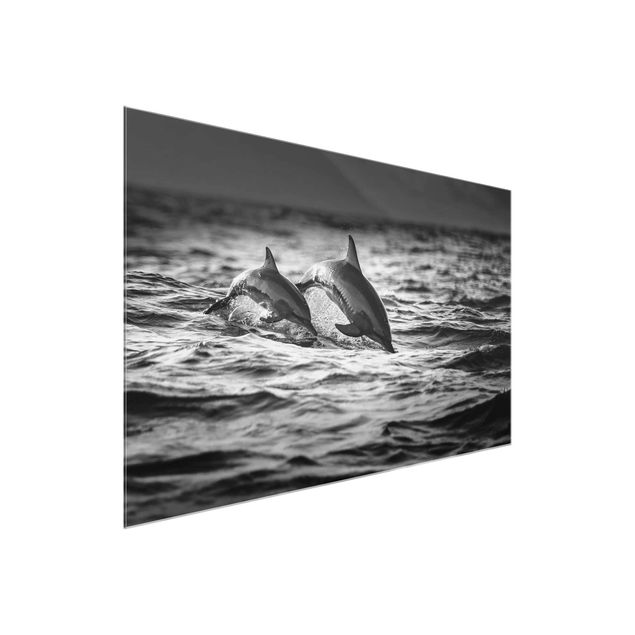 Obrazy na szkle zwierzęta Dwa skaczące delfiny