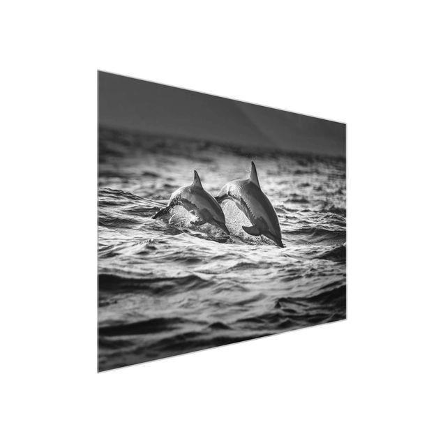 Obrazy na szkle zwierzęta Dwa skaczące delfiny