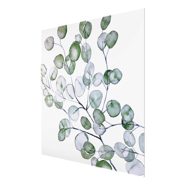 Obrazy kwiatowe Zielona akwarela Gałązka eukaliptusa