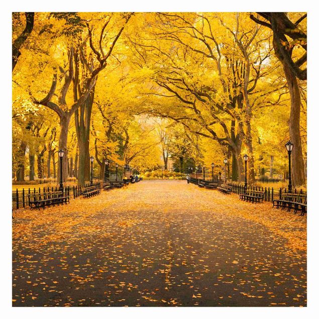 Fototapety Jesień w Central Parku