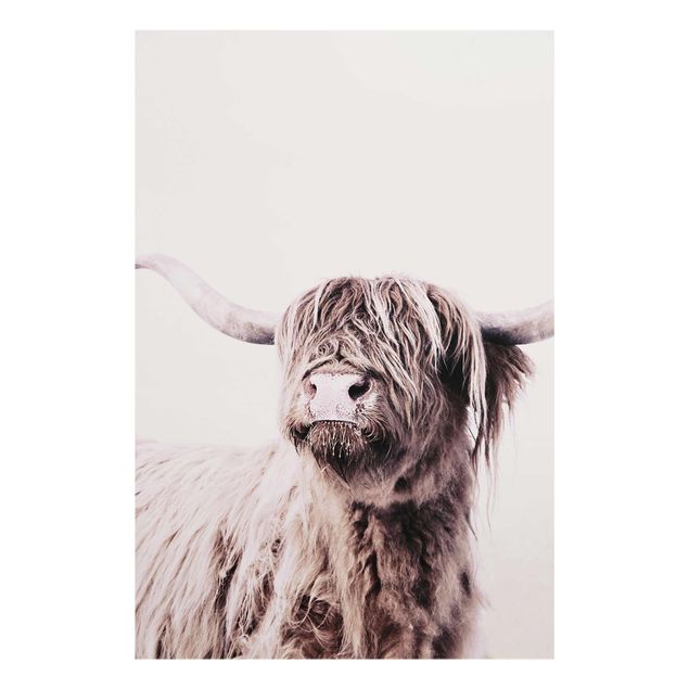 Obrazy nowoczesny Highland Cattle Frida w kolorze beżowym