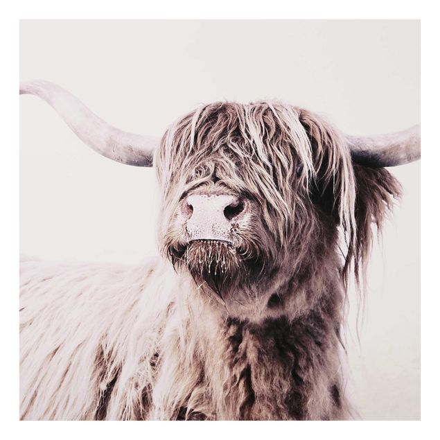 Obrazy nowoczesny Highland Cattle Frida w kolorze beżowym