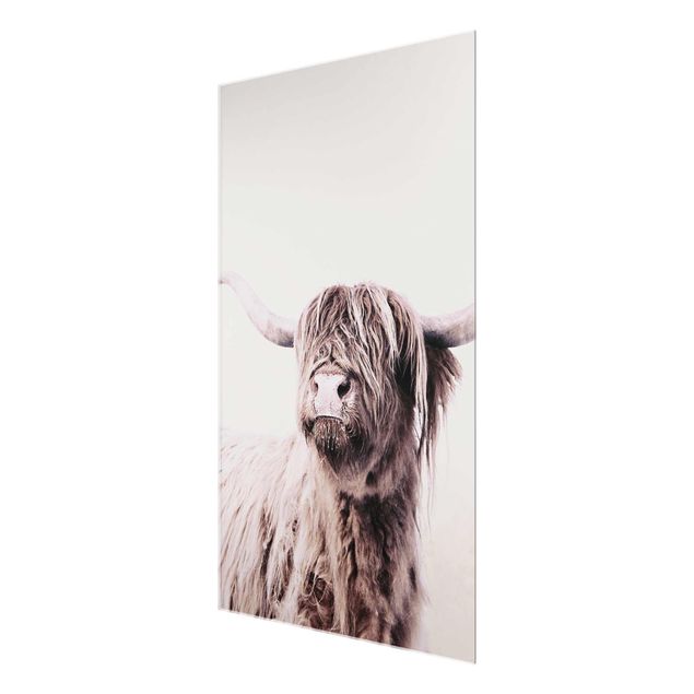 Obrazy ze zwierzętami Highland Cattle Frida w kolorze beżowym