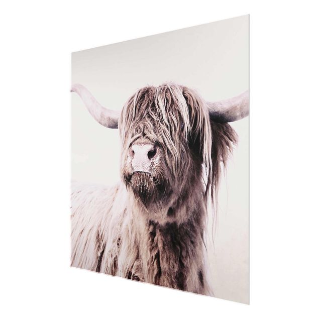 Obrazy ze zwierzętami Highland Cattle Frida w kolorze beżowym