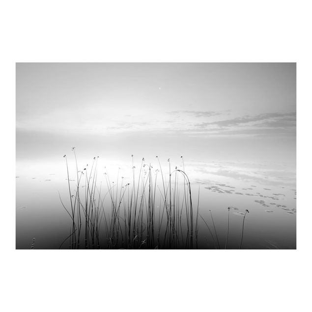 Fototapeta - Idylla nad jeziorem czarno-biała
