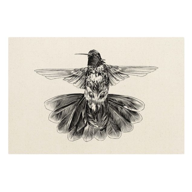 Obraz czarny Ilustracja latającego kolibra Czarna