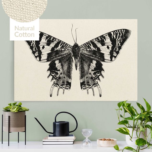 Obrazy do salonu Ilustracja latającego motyla madagaskarskiego