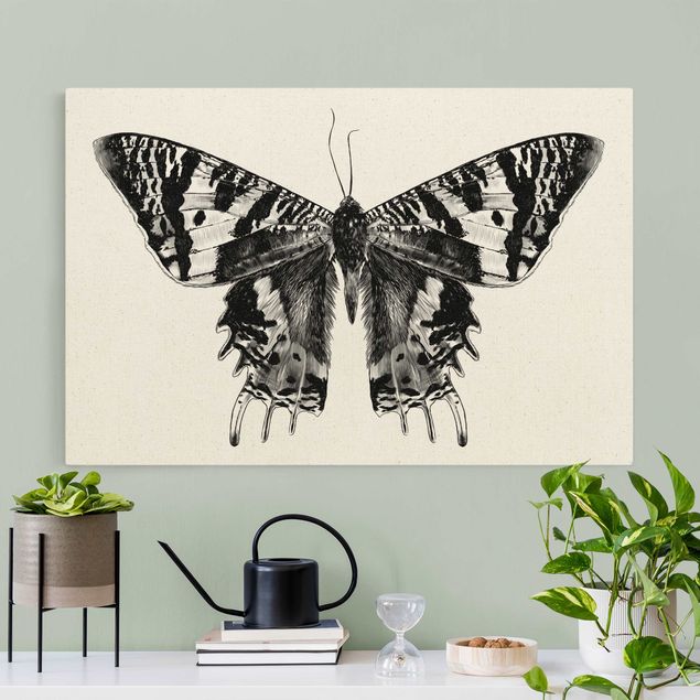 Obrazy nowoczesne Ilustracja latającego motyla madagaskarskiego