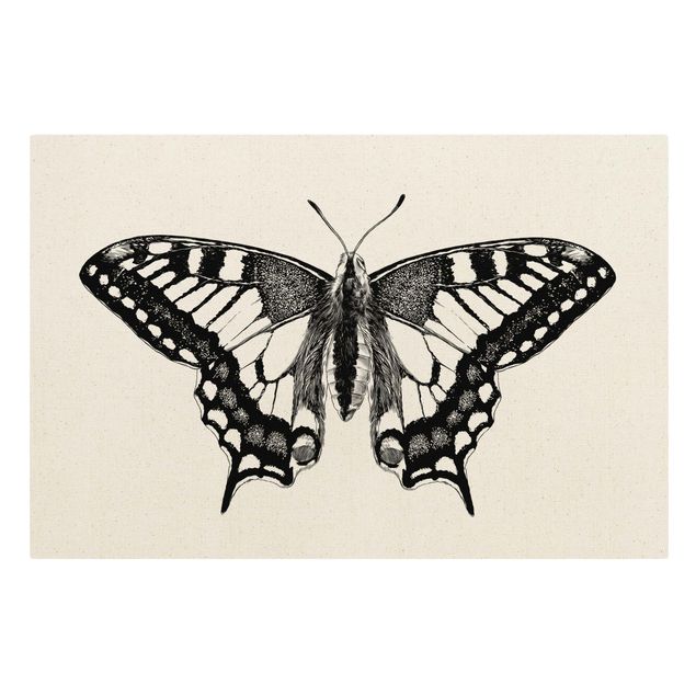 Obraz czarny Ilustracja latającego jaskółczego ogona Czarna