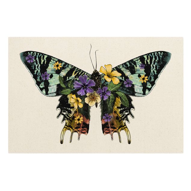Kolorowe obrazy Ilustracja kwiatowego motyla madagaskarskiego
