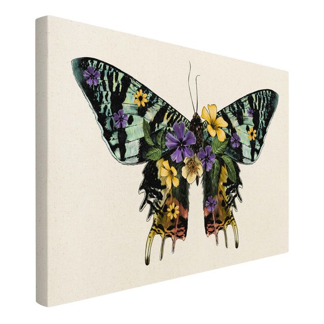 Obrazy na płótnie zwierzęta Ilustracja kwiatowego motyla madagaskarskiego