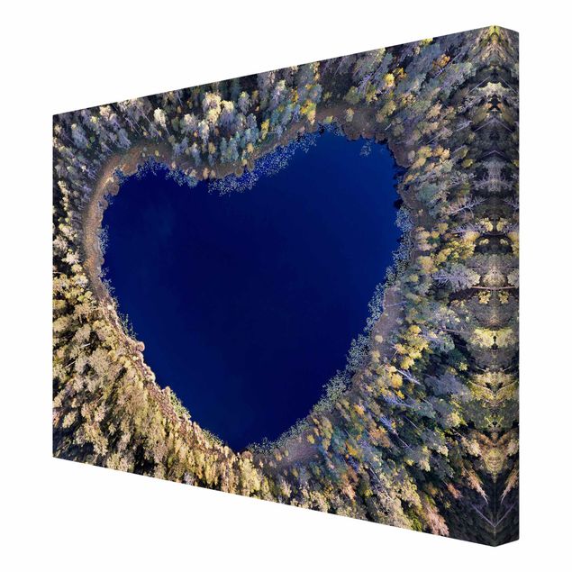 Niebieskie obrazy W sercu lasu