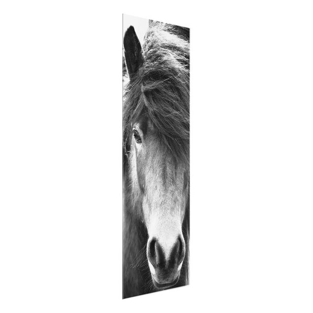 Obrazy koń Konik na wyspie w czerni i bieli