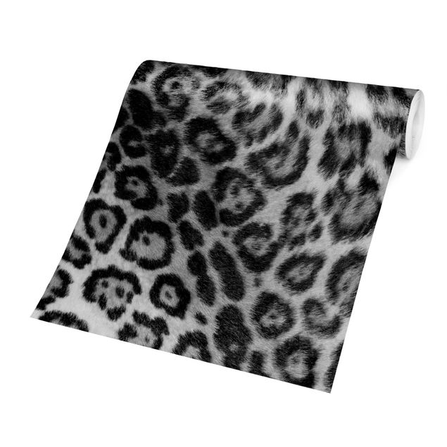 Fototapety Skóra jaguara, czarno-biała
