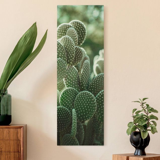 Obrazy do salonu nowoczesne Kaktusy