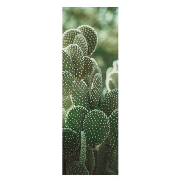 Obrazy z motywem kwiatowym Kaktusy