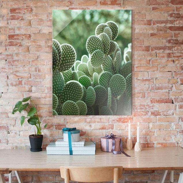 Obrazy do salonu Kaktusy