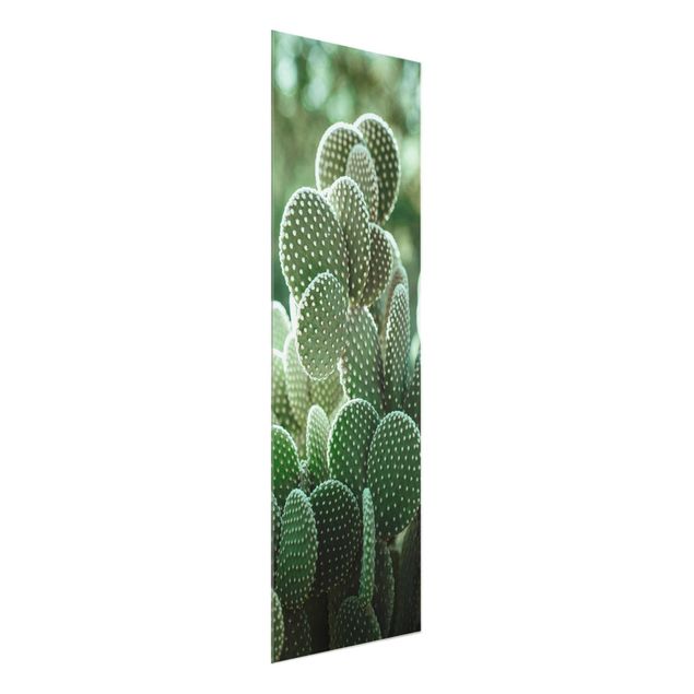 Obrazy nowoczesne Kaktusy