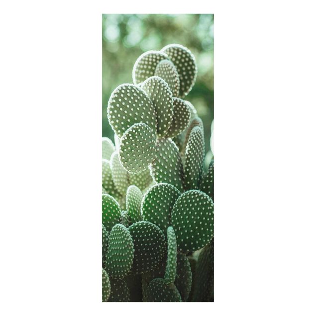 Zielony obraz Kaktusy