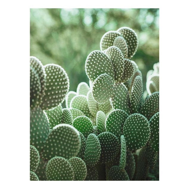 Zielony obraz Kaktusy