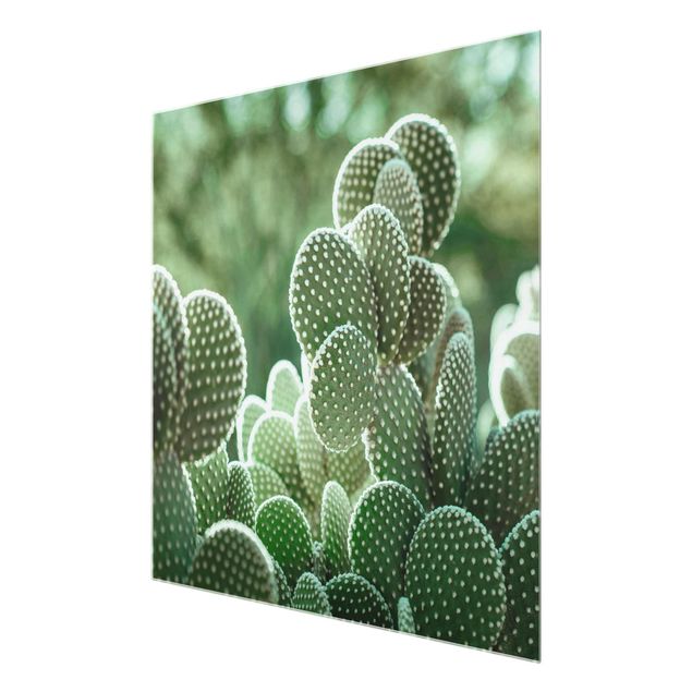 Obrazy kwiatowe Kaktusy