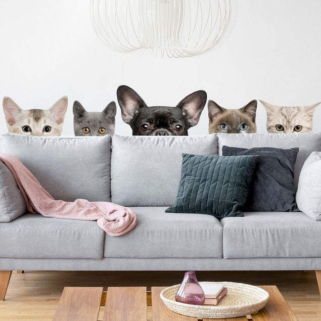 Naklejki koty na ścianę Koty z psimi oczami