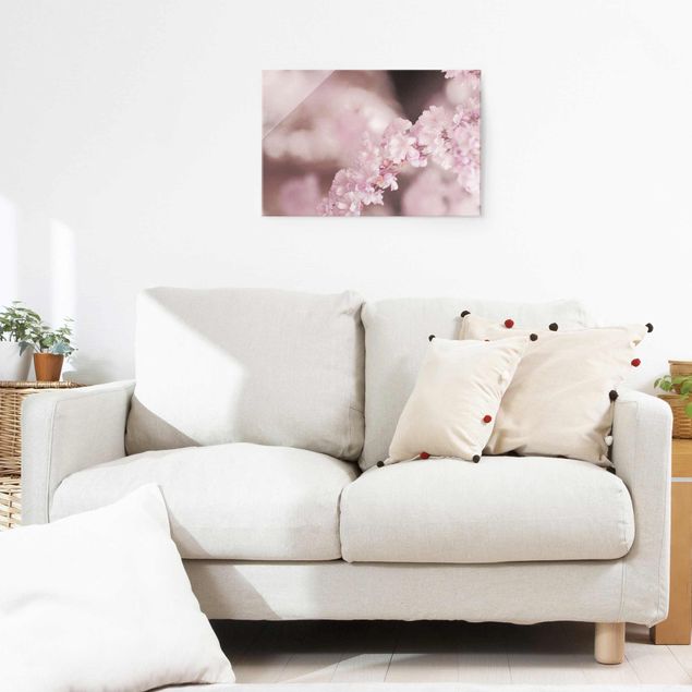Obrazy na szkle poziomy Kwiat wiśni w fioletowym świetle