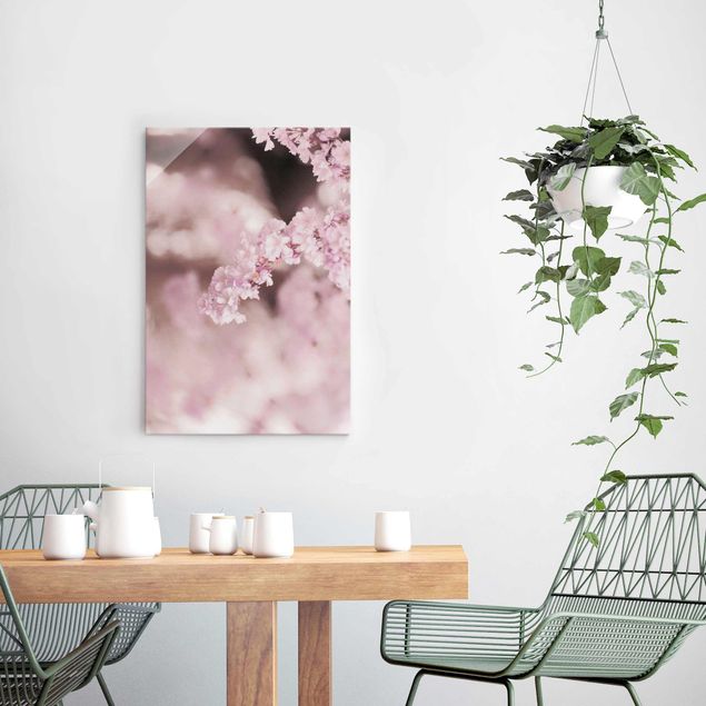Obrazy do salonu Kwiat wiśni w fioletowym świetle
