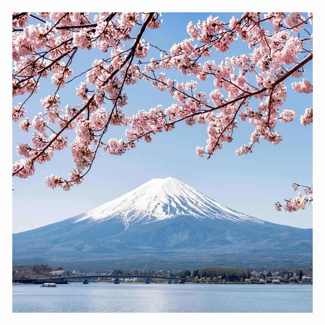 Fototapeta Kwiaty wiśni z górą Fuji