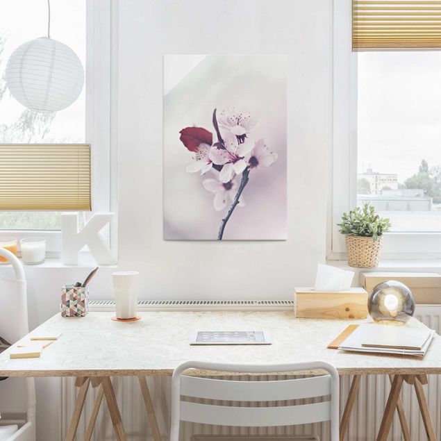 Obrazy na szkle portret Gałązka kwiatu wiśni staroróżowa
