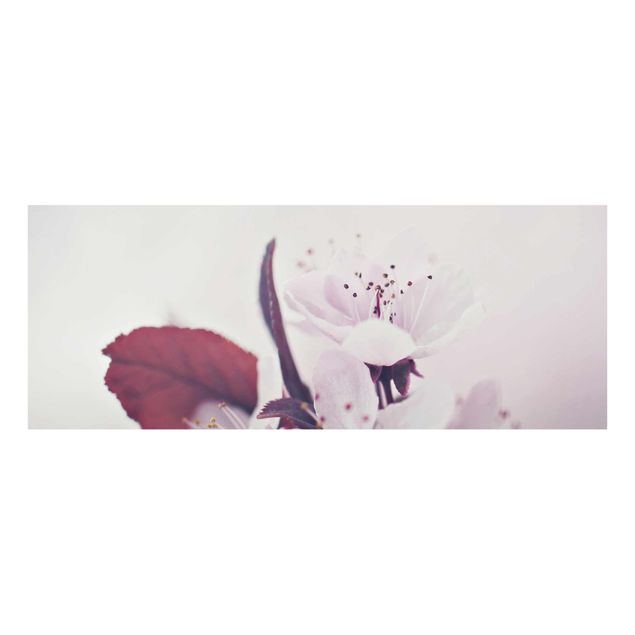 Obraz różowy Gałązka kwiatu wiśni staroróżowa
