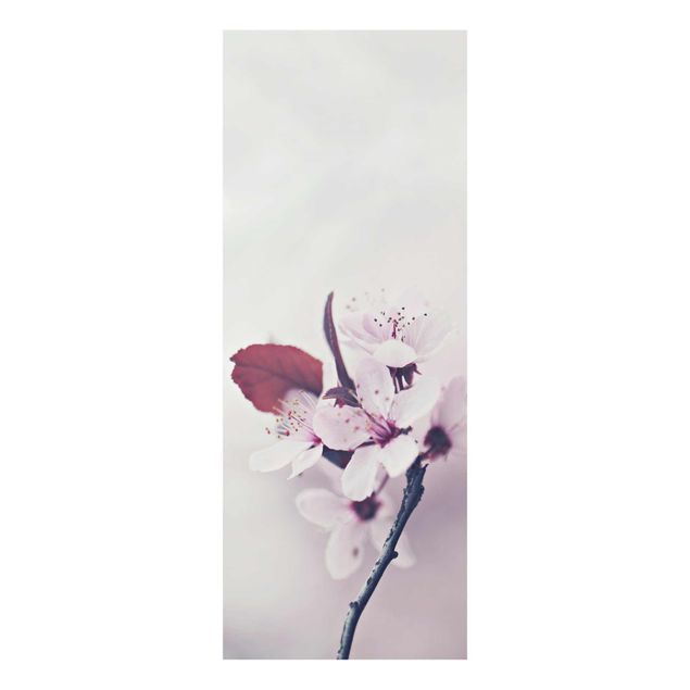 Obraz różowy Gałązka kwiatu wiśni staroróżowa