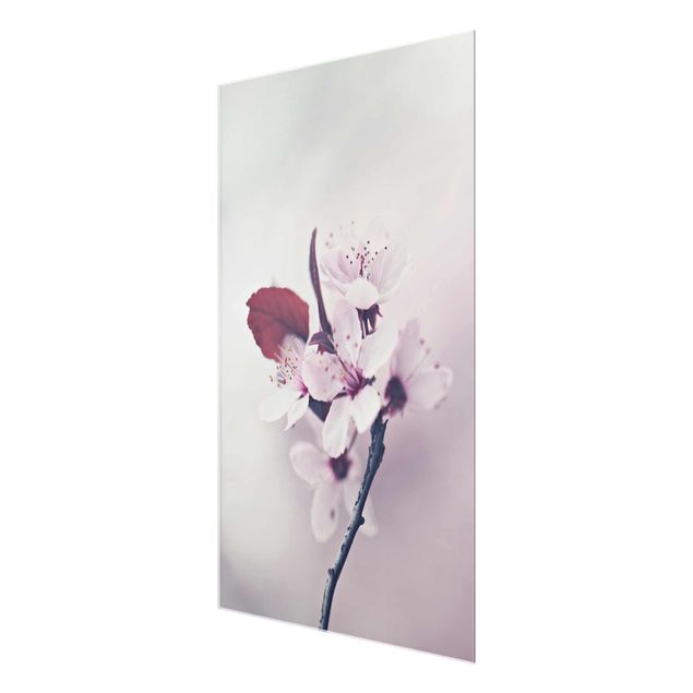 Obrazy z motywem kwiatowym Gałązka kwiatu wiśni staroróżowa